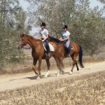 פעילות קיץ 2022 בחוות ראם