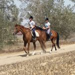 קייטנת רכיבה בחוות ראם